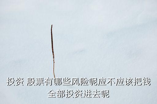 投資 股票有哪些風(fēng)險(xiǎn)呢應(yīng)不應(yīng)該把錢(qián)全部投資進(jìn)去呢