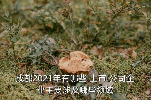 成都2021年有哪些 上市 公司企業(yè)主要涉及哪些領域