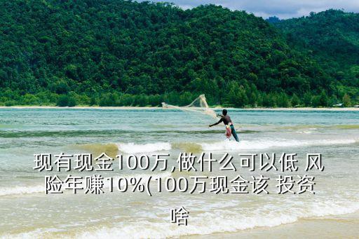 現(xiàn)有現(xiàn)金100萬(wàn),做什么可以低 風(fēng)險(xiǎn)年賺10%(100萬(wàn)現(xiàn)金該 投資啥