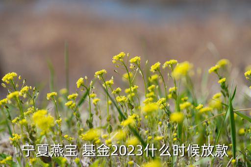 寧夏燕寶 基金2023什么時候放款