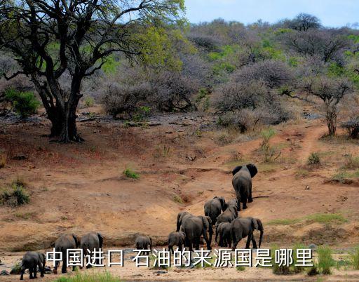 中國進口 石油的來源國是哪里