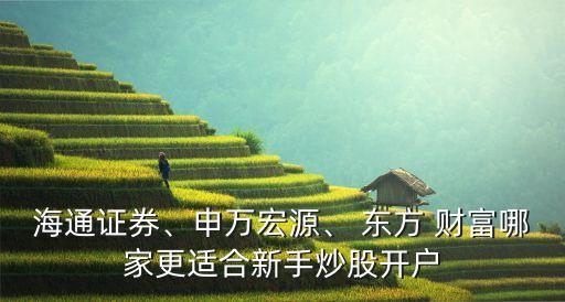 海通證券、申萬宏源、 東方 財富哪家更適合新手炒股開戶