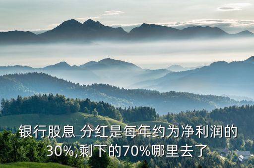  銀行股息 分紅是每年約為凈利潤的30%,剩下的70%哪里去了