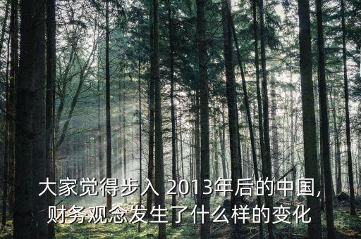 大家覺得步入 2013年后的中國,財務(wù)觀念發(fā)生了什么樣的變化