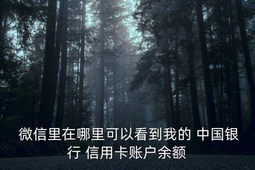  微信里在哪里可以看到我的 中國(guó)銀行 信用卡賬戶余額