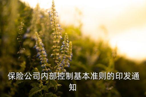 保險公司內控制度