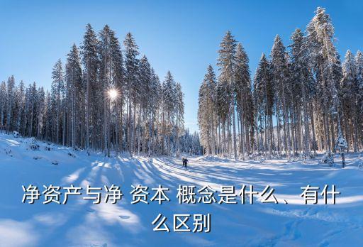 凈資產(chǎn)與凈 資本 概念是什么、有什么區(qū)別