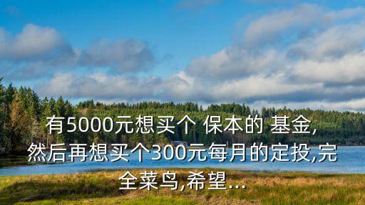 有5000元想買個(gè) 保本的 基金,然后再想買個(gè)300元每月的定投,完全菜鳥,希望...