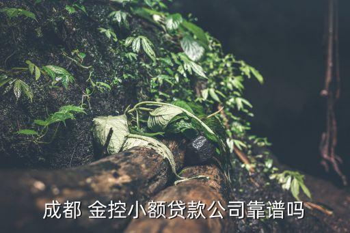 成都 金控小額貸款公司靠譜嗎