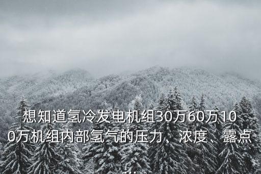 想知道氫冷發(fā)電機(jī)組30萬(wàn)60萬(wàn)100萬(wàn)機(jī)組內(nèi)部氫氣的壓力、濃度、露點(diǎn)...