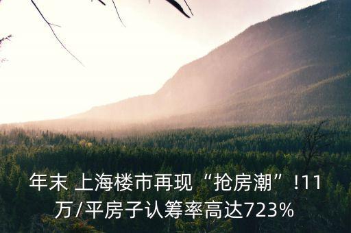 年末 上海樓市再現(xiàn)“搶房潮”!11萬/平房子認(rèn)籌率高達(dá)723%