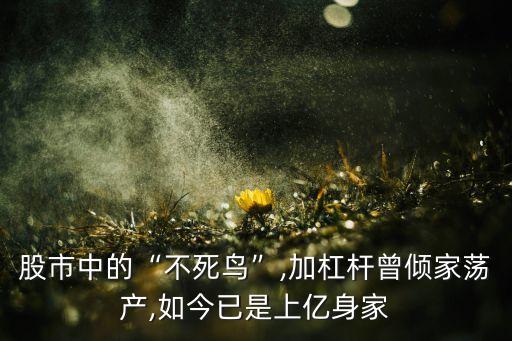 中國第一批操盤手,中國操盤手訓(xùn)練基地