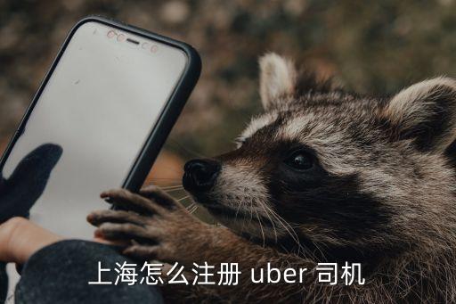 uber司機提交銀行信息