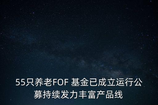 55只養(yǎng)老FOF 基金已成立運行公募持續(xù)發(fā)力豐富產(chǎn)品線