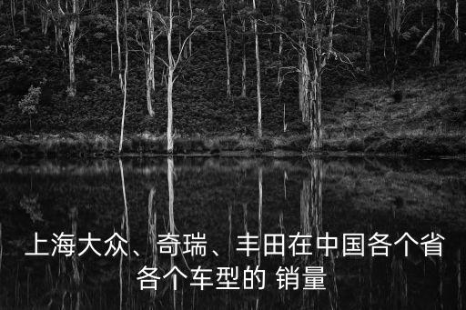  上海大眾、奇瑞、豐田在中國各個省各個車型的 銷量