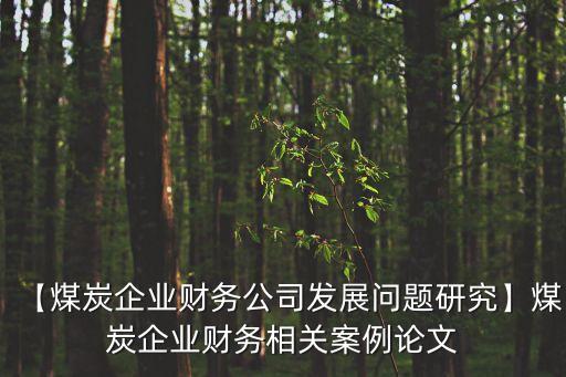 【煤炭企業(yè)財務公司發(fā)展問題研究】煤炭企業(yè)財務相關(guān)案例論文