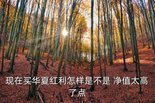 現(xiàn)在買(mǎi)華夏紅利怎樣是不是 凈值太高了點(diǎn)