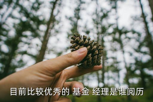 目前比較優(yōu)秀的 基金 經(jīng)理是誰閱歷