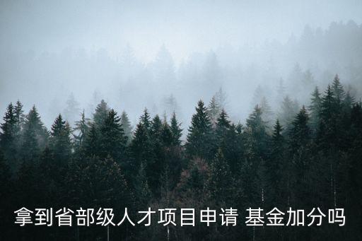 拿到省部級(jí)人才項(xiàng)目申請(qǐng) 基金加分嗎