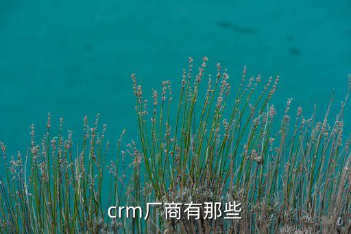 crm廠(chǎng)商有那些