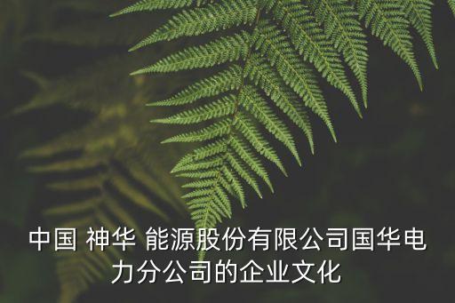 神華國網(wǎng)能源集團(tuán),新疆神華能源集團(tuán)有限公司