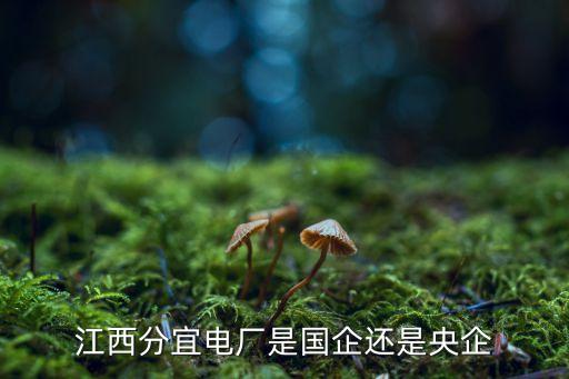 中電投江西省電力燃料有限公司,江西省電力燃料有限公司破產(chǎn)