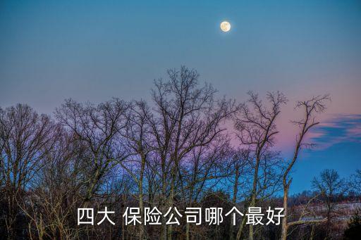 中國四大保險(xiǎn)公司利潤排名,22年保險(xiǎn)公司利潤排名表