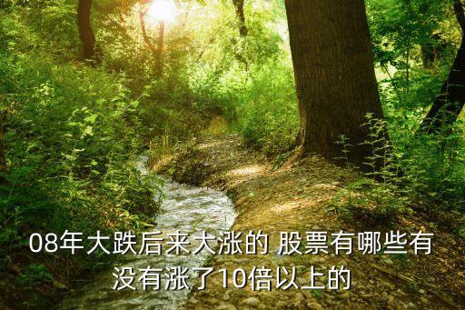 08年大跌后來(lái)大漲的 股票有哪些有沒(méi)有漲了10倍以上的