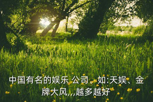 中國(guó)有名的娛樂(lè) 公司、如:天娛、金牌大風(fēng),,,越多越好