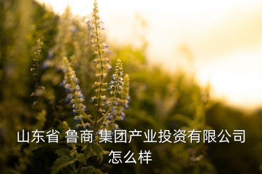 山東省 魯商 集團(tuán)產(chǎn)業(yè)投資有限公司怎么樣