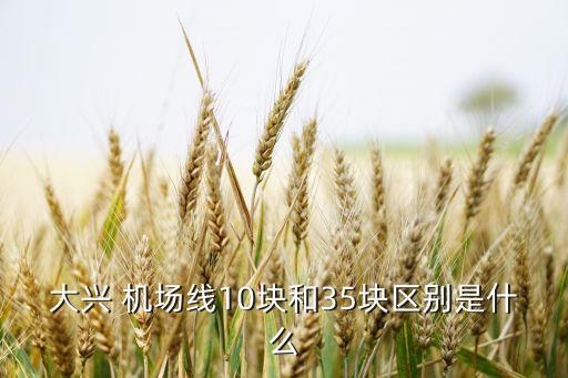 大興 機(jī)場(chǎng)線10塊和35塊區(qū)別是什么