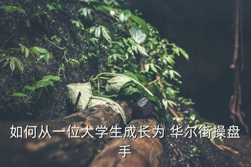 如何從一位大學(xué)生成長(zhǎng)為 華爾街操盤手