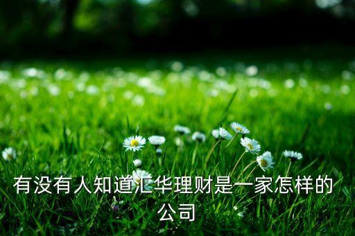 有沒有人知道匯華理財(cái)是一家怎樣的 公司