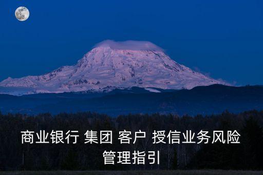 商業(yè)銀行 集團 客戶 授信業(yè)務(wù)風險管理指引