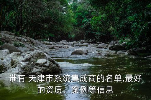 誰有 天津市系統(tǒng)集成商的名單,最好的資質(zhì)、案例等信息