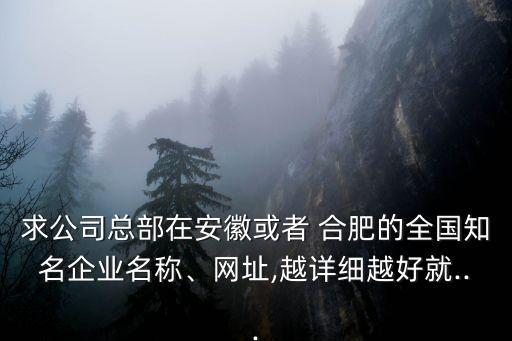 求公司總部在安徽或者 合肥的全國知名企業(yè)名稱、網(wǎng)址,越詳細越好就...