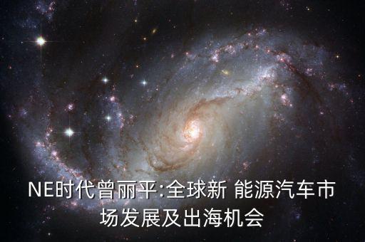 北美永新能源公司