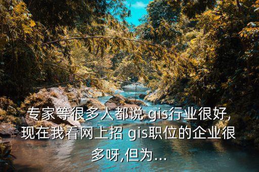 專家等很多人都說(shuō) gis行業(yè)很好,現(xiàn)在我看網(wǎng)上招 gis職位的企業(yè)很多呀,但為...