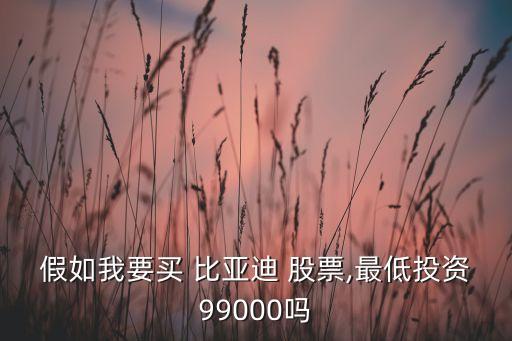 假如我要買(mǎi) 比亞迪 股票,最低投資99000嗎