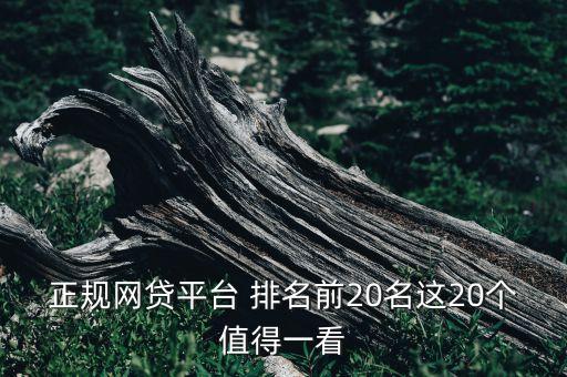 正規(guī)網(wǎng)貸平臺 排名前20名這20個值得一看