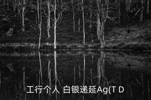 工行個(gè)人 白銀遞延Ag(T D