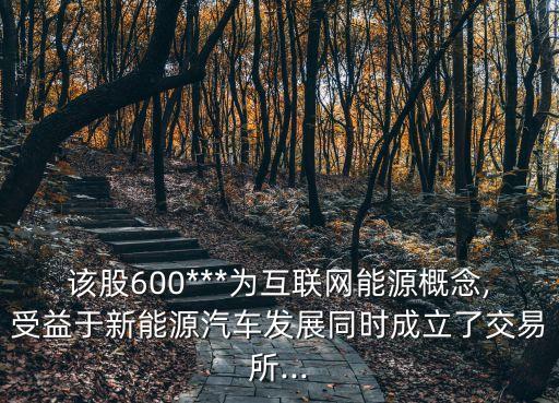 該股600***為互聯(lián)網能源概念,受益于新能源汽車發(fā)展同時成立了交易所...