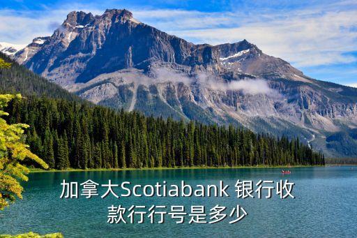 加拿大Scotiabank 銀行收款行行號是多少