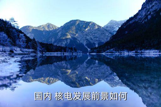 中國(guó)核電能長(zhǎng)期持有嗎,臺(tái)海核電能不能長(zhǎng)期持有