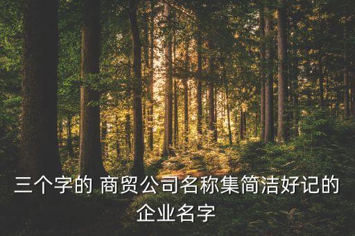 合肥亞悅商貿(mào)有限公司,合肥藍(lán)珀商貿(mào)有限公司怎么樣