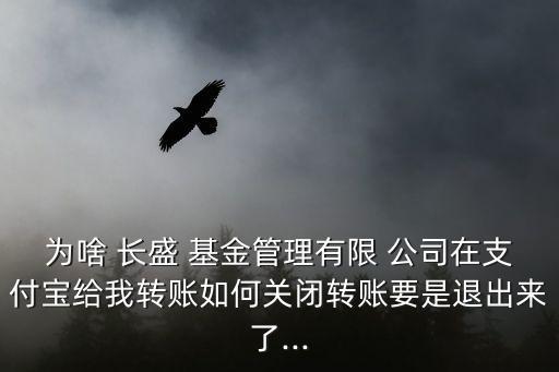 為啥 長(zhǎng)盛 基金管理有限 公司在支付寶給我轉(zhuǎn)賬如何關(guān)閉轉(zhuǎn)賬要是退出來(lái)了...