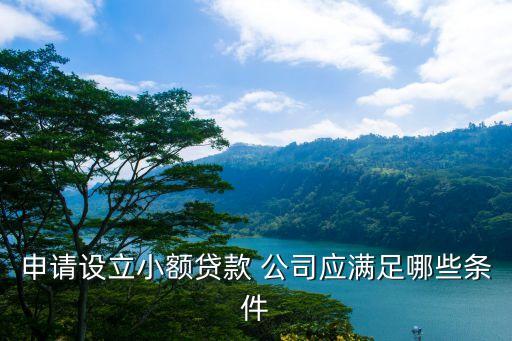 小貸公司股東要求,有網(wǎng)貸可以當(dāng)公司股東嗎