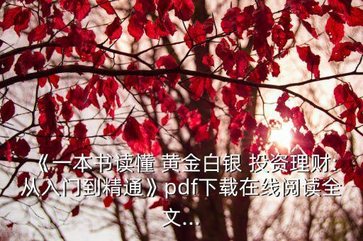 《一本書讀懂 黃金白銀 投資理財:從入門到精通》pdf下載在線閱讀全文...