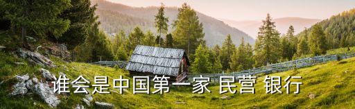 誰(shuí)會(huì)是中國(guó)第一家 民營(yíng) 銀行