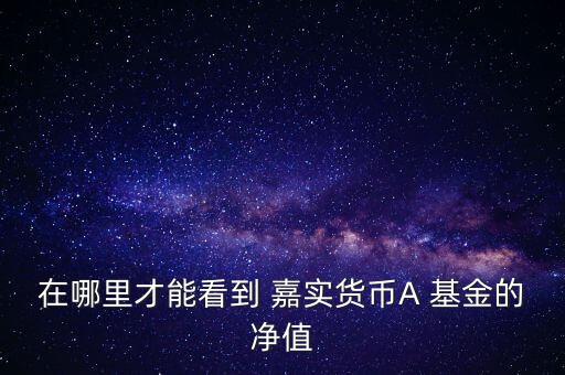 在哪里才能看到 嘉實貨幣A 基金的凈值